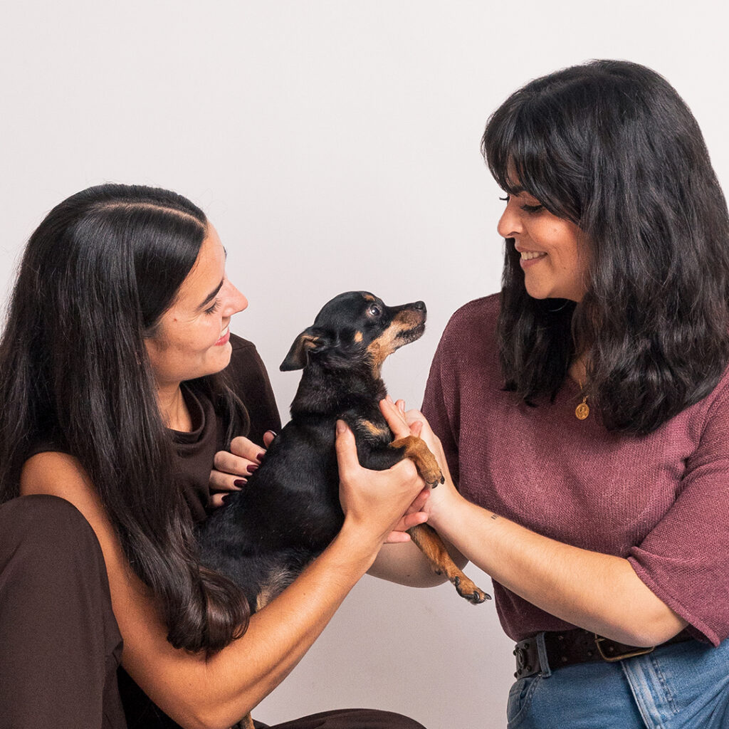 fotografia-mascotas-alicante